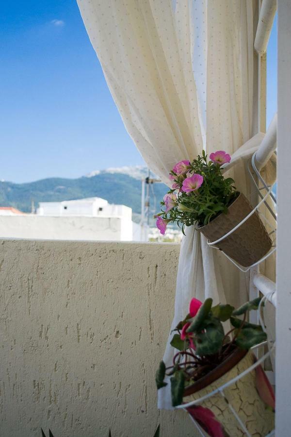Inspiration Guestroom With Amazing Roof Garden Atenas Exterior foto